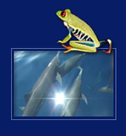aa