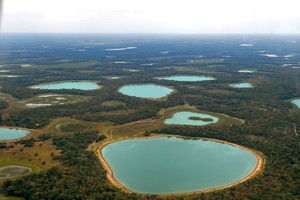 Pantanal vanuit de lucht
