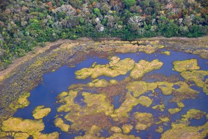 Pantanal vanuit de lucht