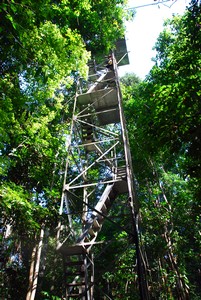 Cristalino lodge - Onderste deel van de 50 meter hoge uitkijktoren