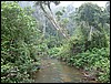 Madagascar10450.JPG