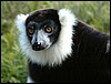 Madagascar11550.JPG