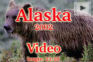Alaska