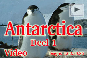 Antarctica1