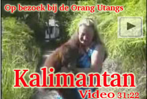 Kalimantan