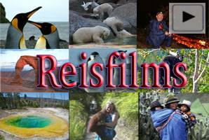 Filmpjes