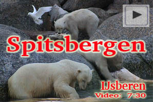 Spitsbergen