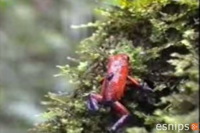 Costa Rica