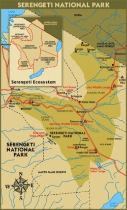 Serengeti