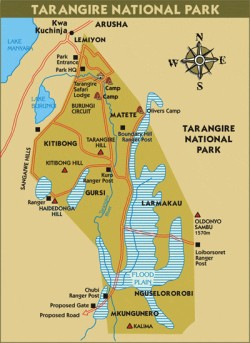 Tarangire