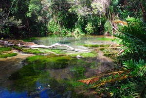 Bonito - Rio Securu