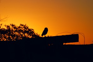 Chapada dos Guimaraes