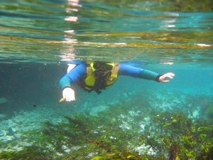 Bonito - Rio del Prata