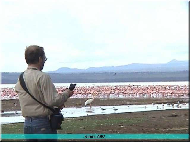 06 Nakuru - Flamingo4