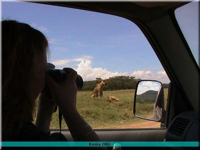 29 MasaiMara - Leeuw1